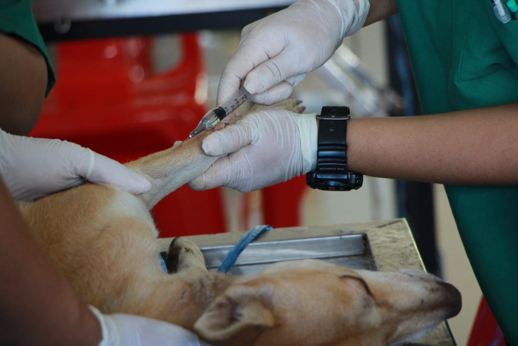 adult care clinic 1350591 1024x683 1